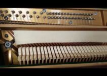 Piano de cola vs piano vertical: ¿Cuál es mejor?